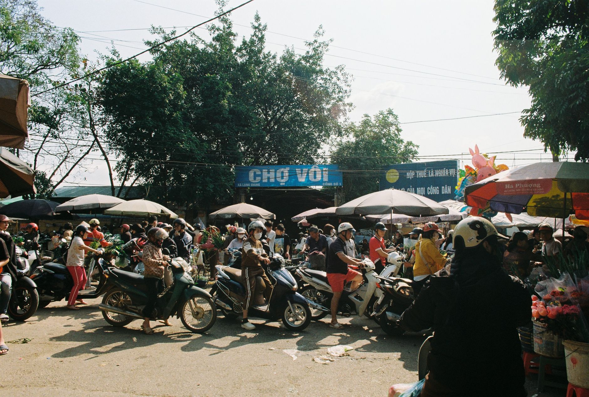 Tại Sao Sự Kết Hợp K29 và K31 Lại "Bùng Nổ"? - Chao Đón Học Viên Khóa Học SEO Tiêu Chuẩn K29 Kết Hợp K31: Chiến Lược Hiệ