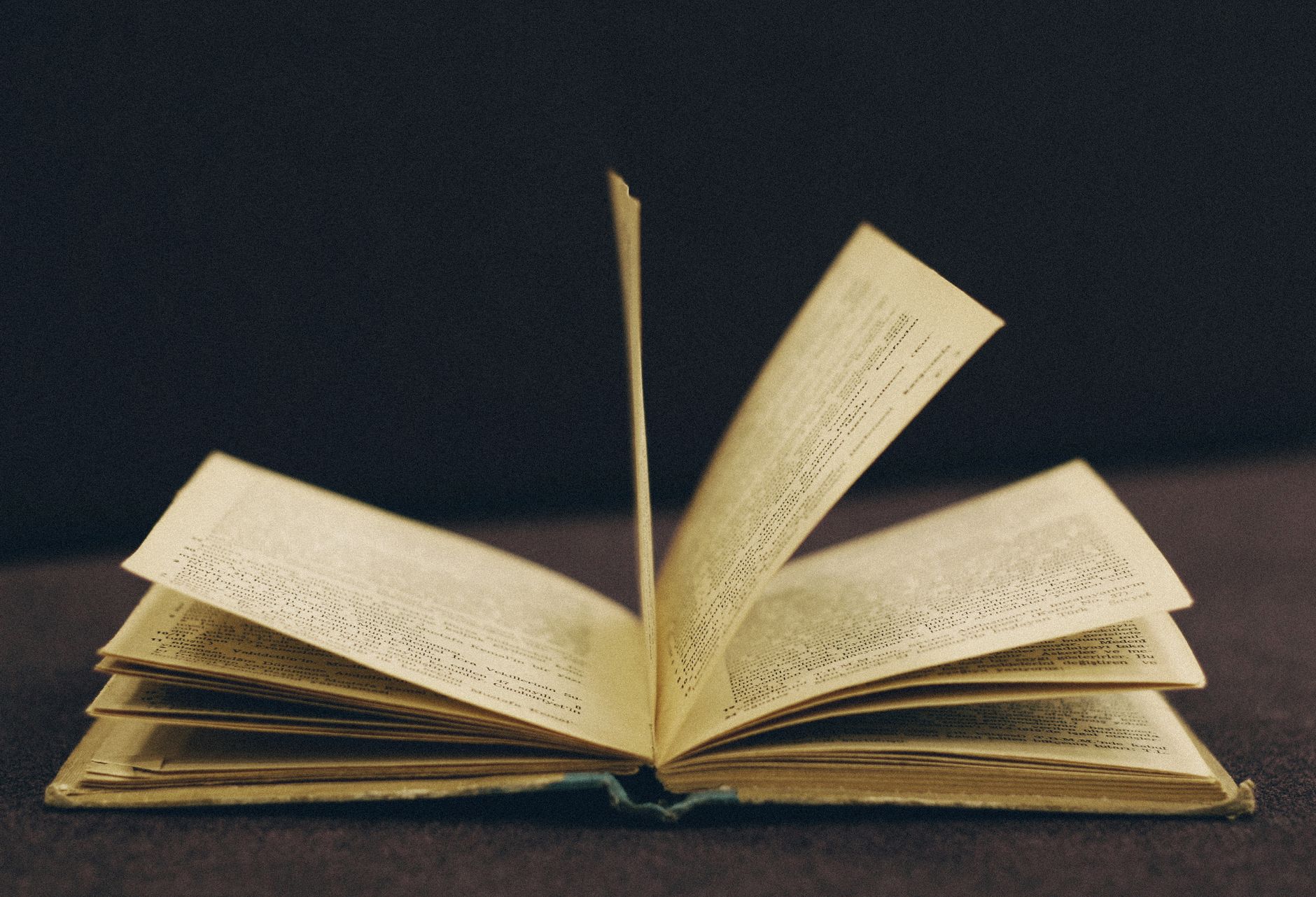 1. On Page SEO Là Gì? Nền Tảng Không Thể Thiếu - Từ Off Page SEO Đến On Page SEO Và Off Page SEO: Lộ Trình Hoàn Chỉnh Ch
